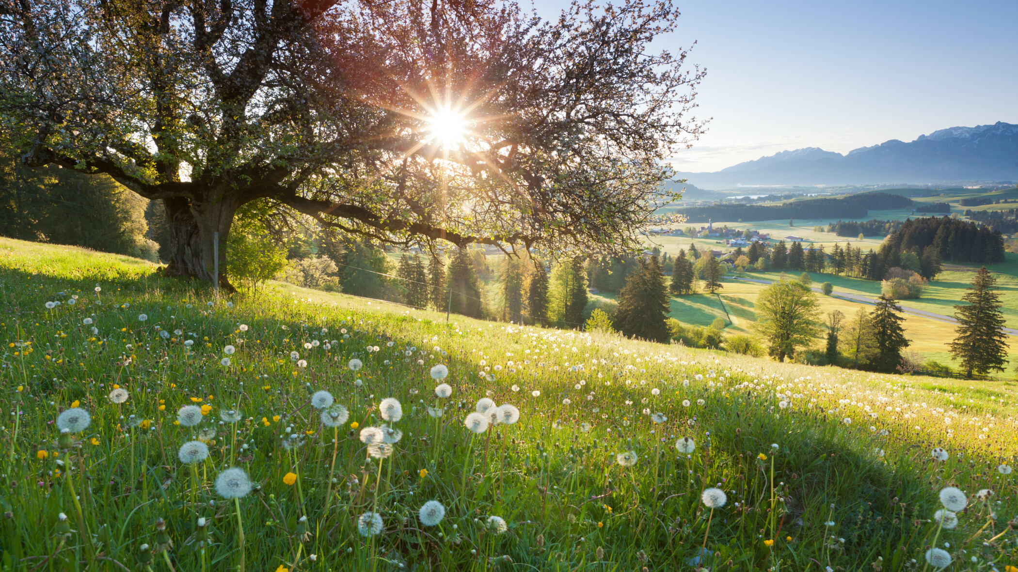 Unsere Vision und <br>unser Anspruch