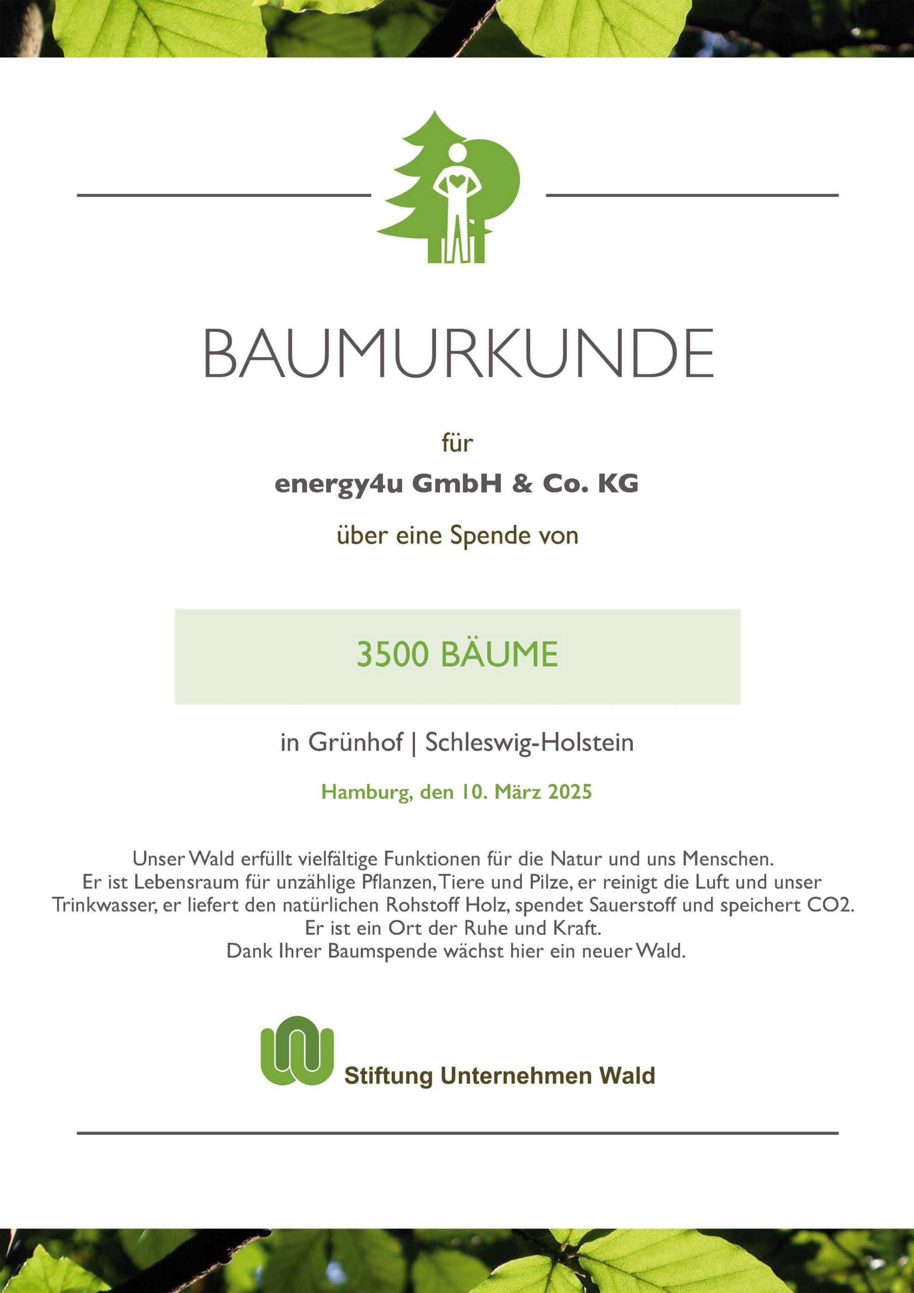 Eine Urkunde der Stiftung Wald für an die energy4u, auf der die Baumpflanzung von 3500 Bäumen in Schleswig-Holstein beurkundet ist.