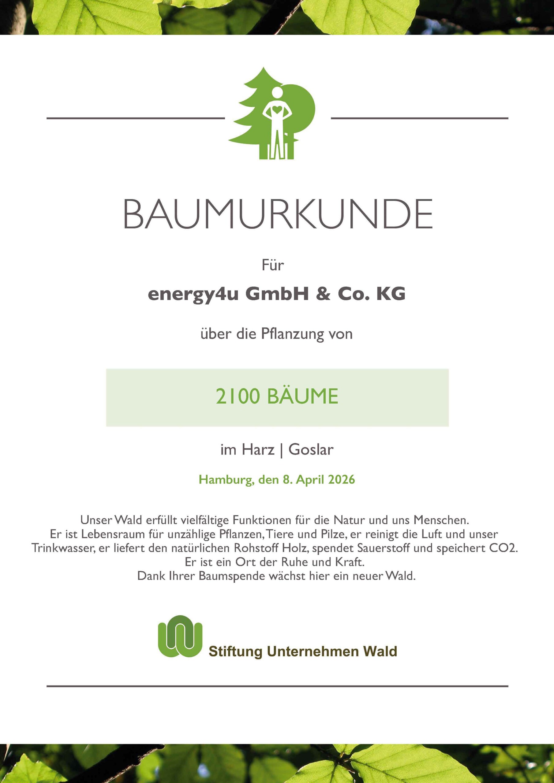 Eine Urkunde der Stiftung Wald für an die energy4u, auf der die Baumpflanzung von 3500 Bäumen in Schleswig-Holstein beurkundet ist.
